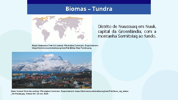 Biomas – Tundra Distrito de Nuussuaq em Nuuk, capital da Groenlândia, com a montanha