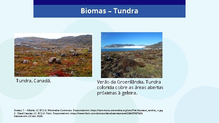 Biomas – Tundra, Canadá. Verão da Groenlândia. Tundra colorida cobre as áreas abertas próximas