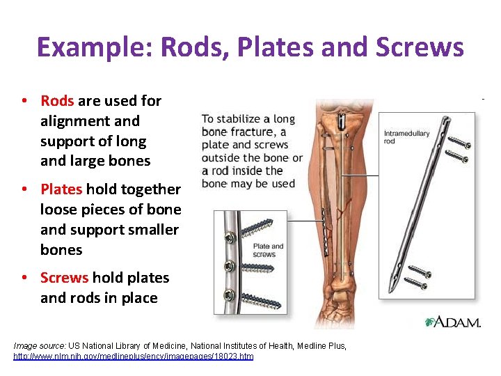 Example: Rods, Plates and Screws • Rods are used for alignment and support of
