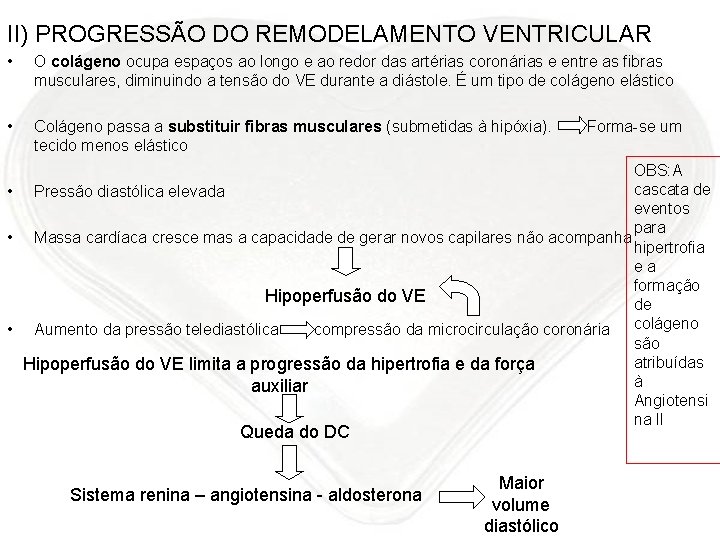 II) PROGRESSÃO DO REMODELAMENTO VENTRICULAR • O colágeno ocupa espaços ao longo e ao
