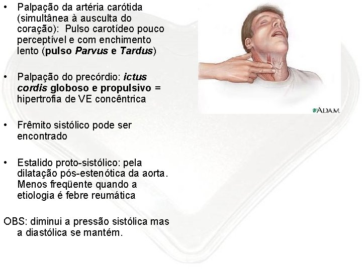  • Palpação da artéria carótida (simultânea à ausculta do coração): Pulso carotídeo pouco