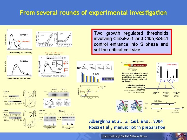 From several rounds of experimental investigation Two growth regulated thresholds involving Cln 3/Far 1