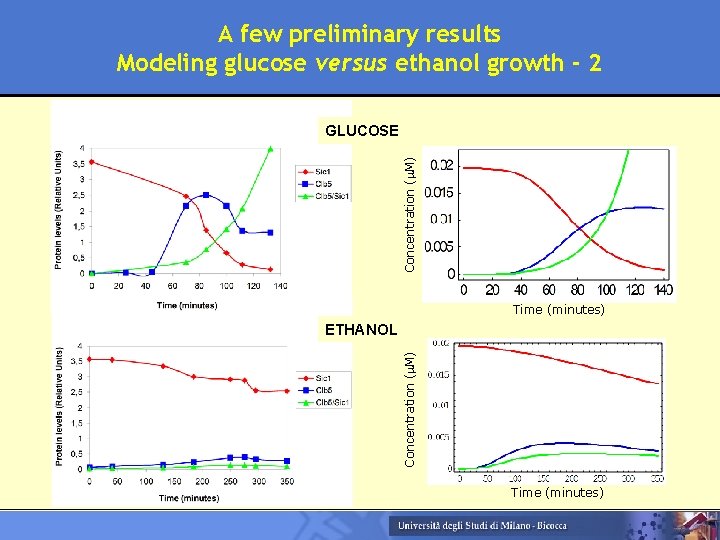 A few preliminary results Modeling glucose versus ethanol growth - 2 Concentration ( M)
