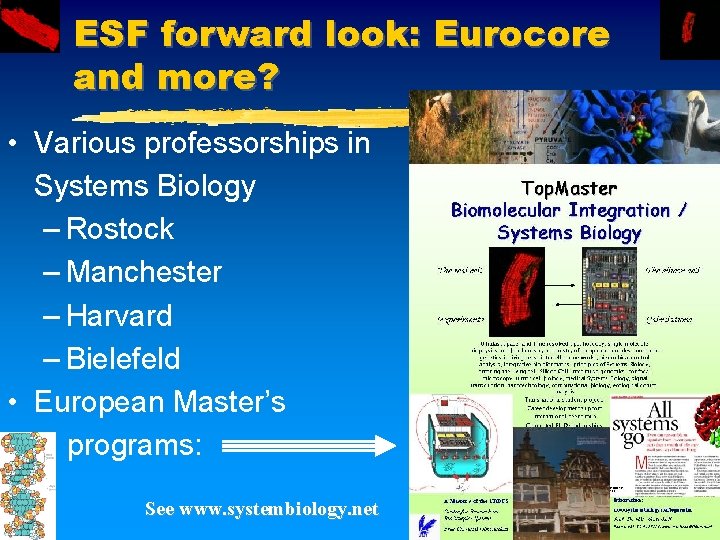 ESF forward look: Eurocore and more? • Various professorships in Systems Biology – Rostock