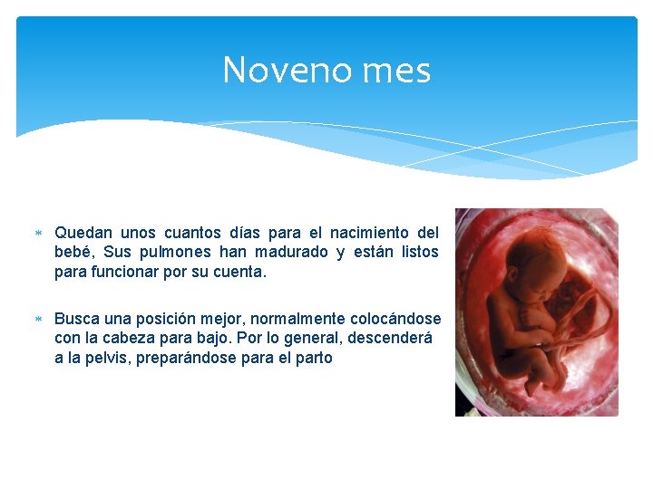 Noveno mes Quedan unos cuantos días para el nacimiento del bebé, Sus pulmones han