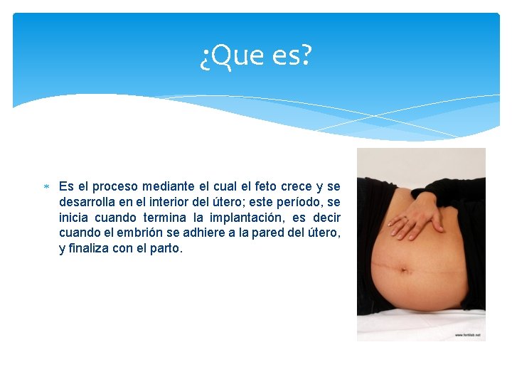 ¿Que es? Es el proceso mediante el cual el feto crece y se desarrolla