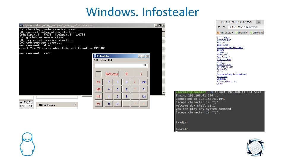 Windows. Infostealer 