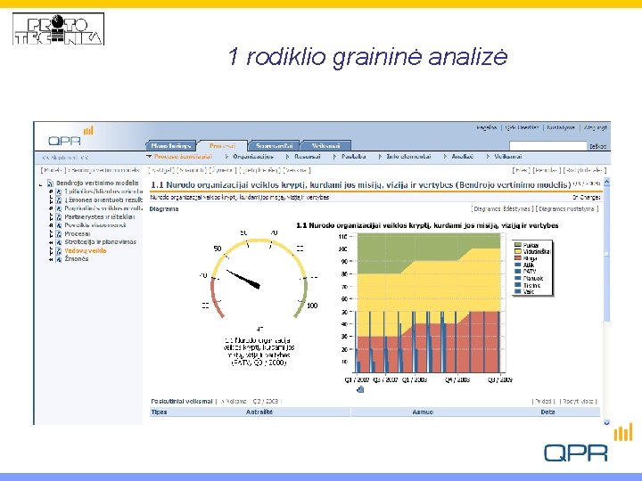 1 rodiklio graininė analizė 