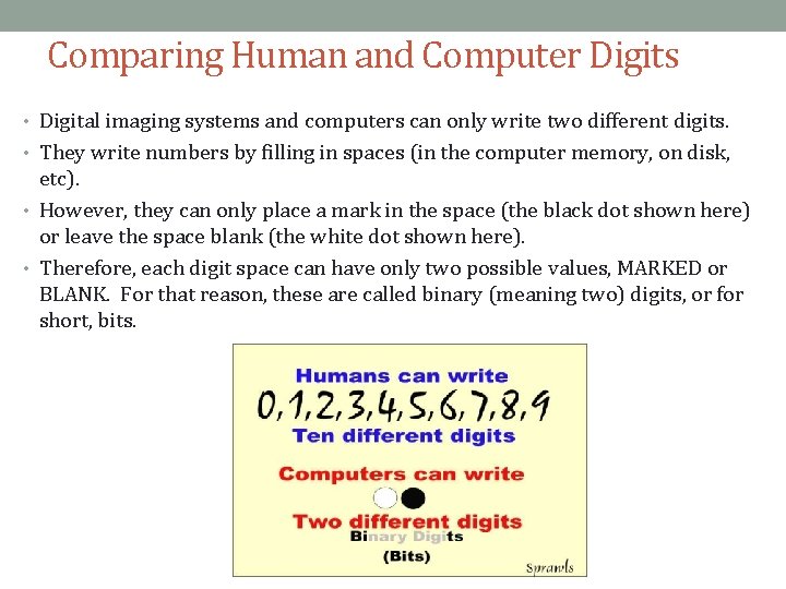 Comparing Human and Computer Digits • Digital imaging systems and computers can only write