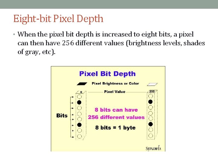 Eight-bit Pixel Depth • When the pixel bit depth is increased to eight bits,