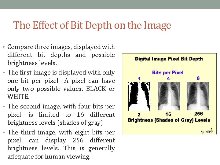 The Effect of Bit Depth on the Image • Compare three images, displayed with