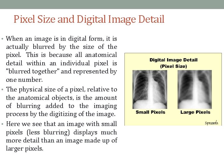 Pixel Size and Digital Image Detail • When an image is in digital form,