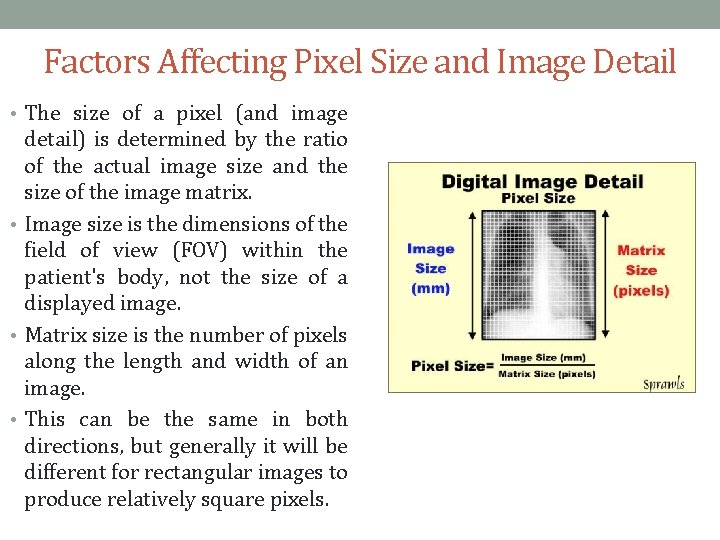 Factors Affecting Pixel Size and Image Detail • The size of a pixel (and