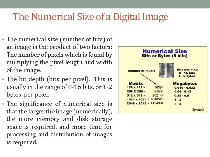 The Numerical Size of a Digital Image • The numerical size (number of bits)