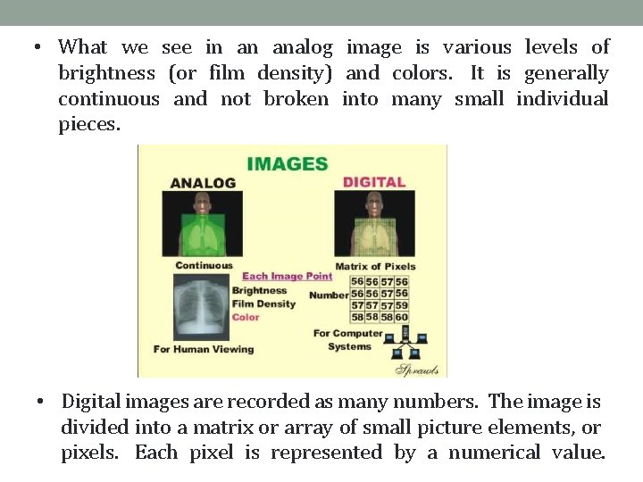  • What we see in an analog image is various levels of brightness