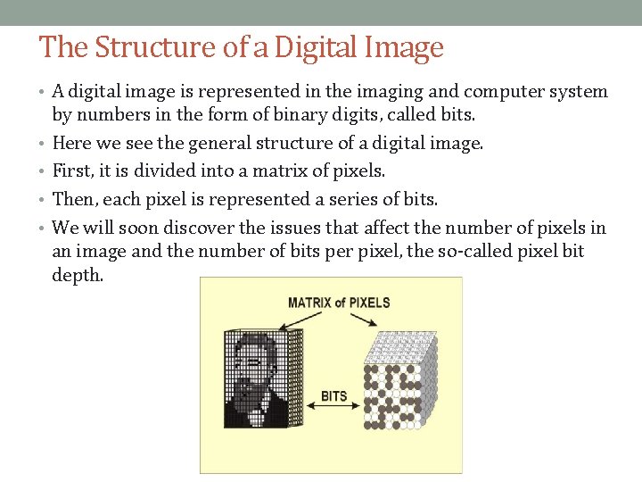 The Structure of a Digital Image • A digital image is represented in the