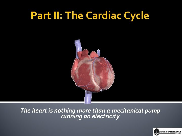 Part II: The Cardiac Cycle The heart is nothing more than a mechanical pump