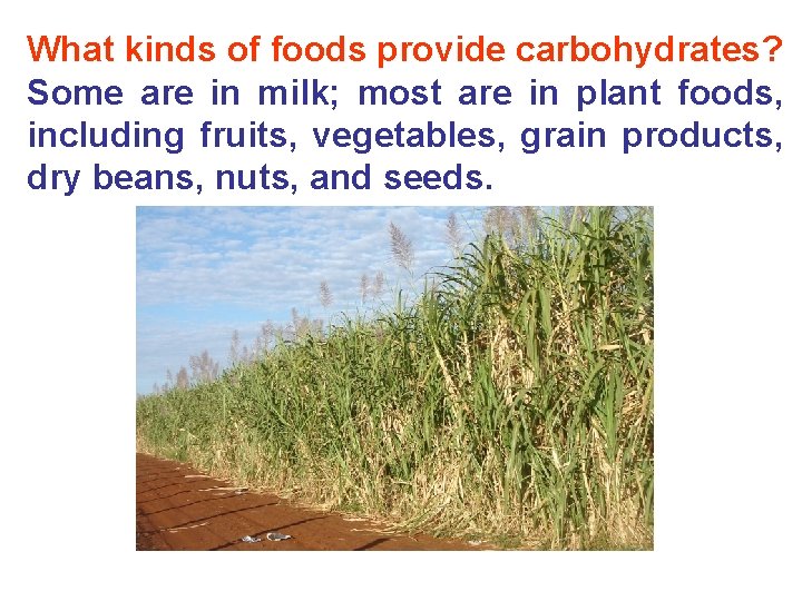 What kinds of foods provide carbohydrates? Some are in milk; most are in plant