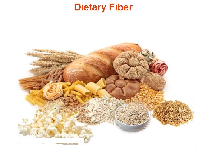Dietary Fiber 