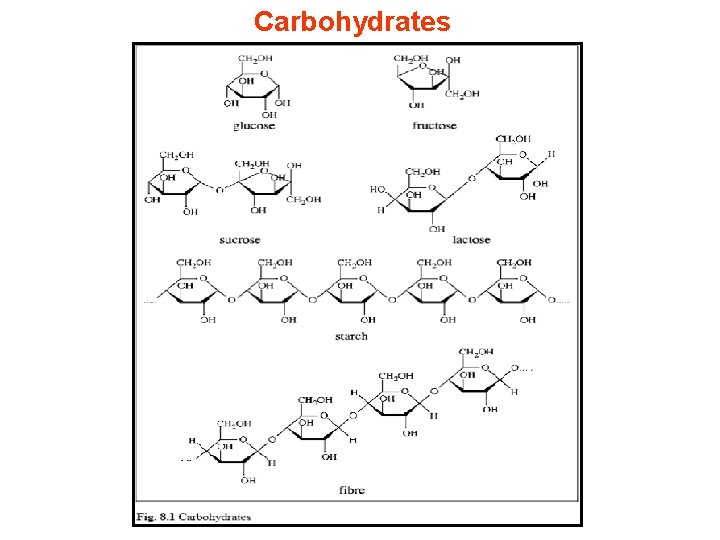 Carbohydrates 