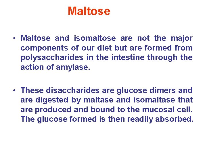 Maltose • Maltose and isomaltose are not the major components of our diet but
