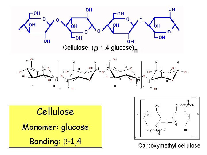 Cellulose Monomer: glucose Bonding: -1, 4 Carboxymethyl cellulose 