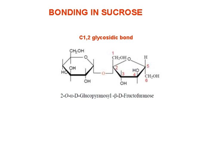 BONDING IN SUCROSE C 1, 2 glycosidic bond 