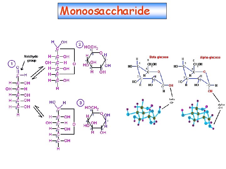 Monoosaccharide 
