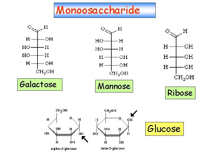 Monoosaccharide Galactose Mannose Ribose Glucose 