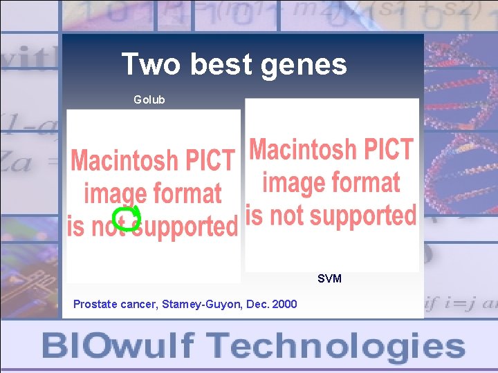 Two best genes Golub SVM Prostate cancer, Stamey-Guyon, Dec. 2000 Two best genes Golub SVM Prostate cancer, Stamey-Guyon, Dec. 2000