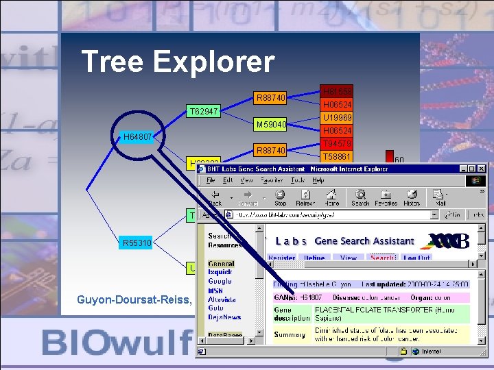 Tree Explorer R 88740 T 62947 M 59040 H 64807 R 88740 H 08393 Tree Explorer R 88740 T 62947 M 59040 H 64807 R 88740 H 08393