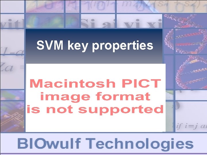 SVM key properties SVM key properties