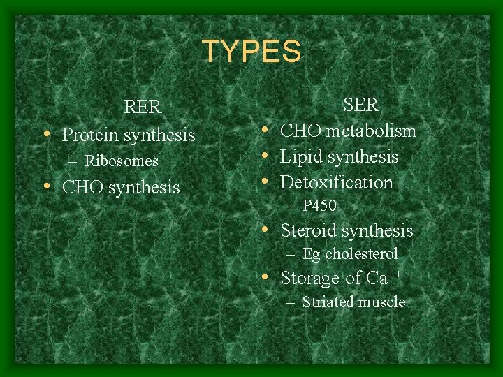 TYPES RER • Protein synthesis – Ribosomes • CHO synthesis SER • CHO metabolism