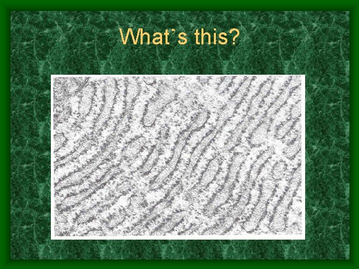 What’s this? 