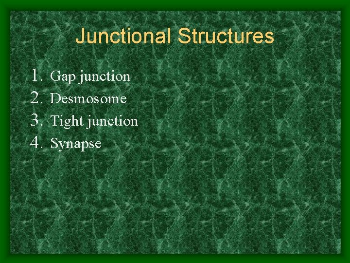 Junctional Structures 1. 2. 3. 4. Gap junction Desmosome Tight junction Synapse 