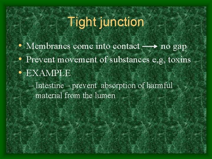 Tight junction • Membranes come into contact no gap • Prevent movement of substances