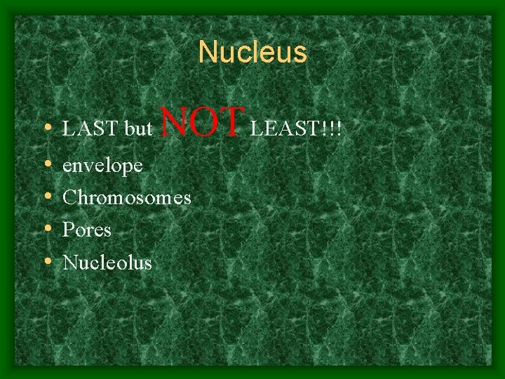 Nucleus • • • LAST but NOT LEAST!!! envelope Chromosomes Pores Nucleolus 