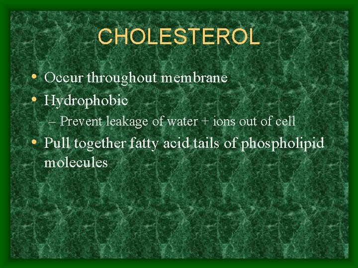 CHOLESTEROL • Occur throughout membrane • Hydrophobic – Prevent leakage of water + ions