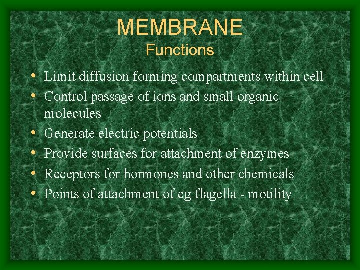 MEMBRANE Functions • Limit diffusion forming compartments within cell • Control passage of ions