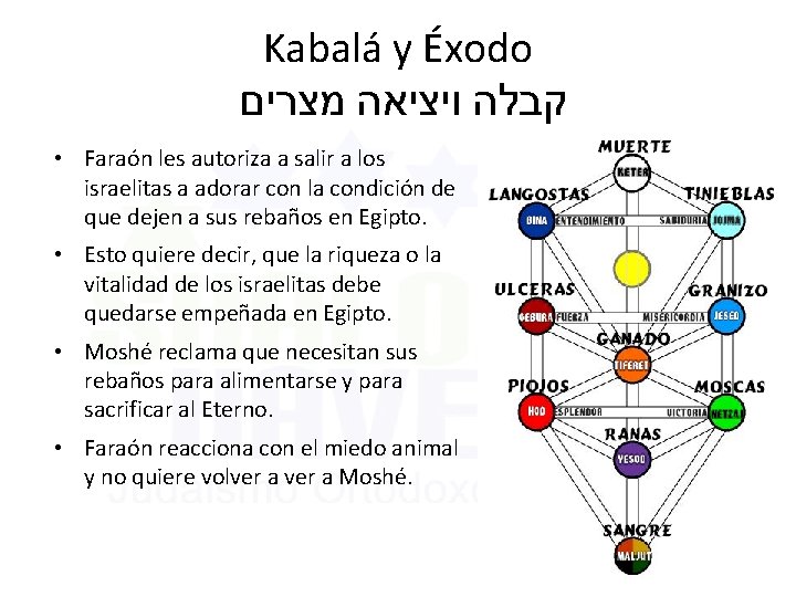 Kabalá y Éxodo קבלה ויציאה מצרים • Faraón les autoriza a salir a los