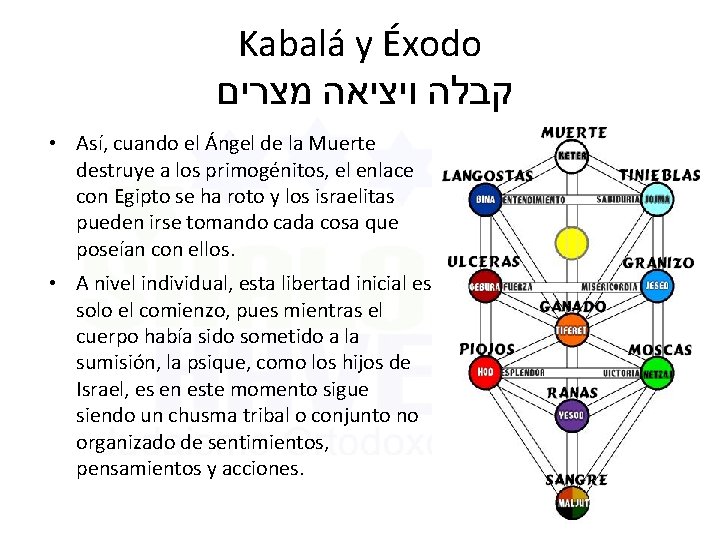 Kabalá y Éxodo קבלה ויציאה מצרים • Así, cuando el Ángel de la Muerte