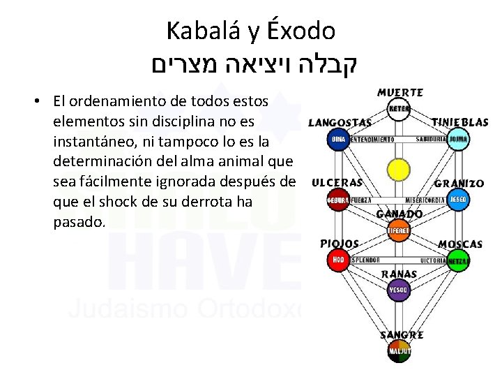 Kabalá y Éxodo קבלה ויציאה מצרים • El ordenamiento de todos estos elementos sin