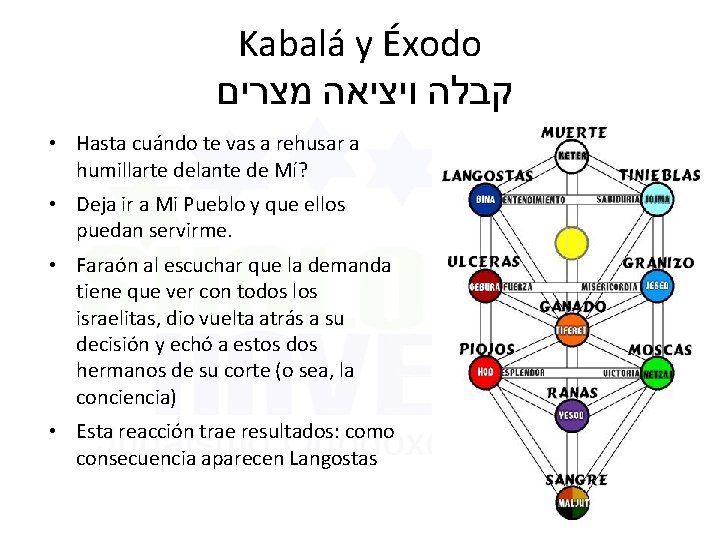 Kabalá y Éxodo קבלה ויציאה מצרים • Hasta cuándo te vas a rehusar a