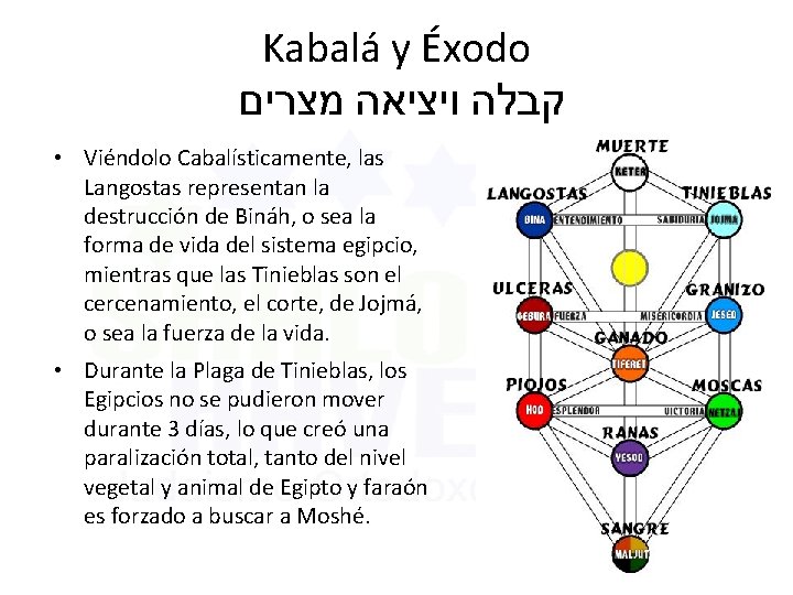 Kabalá y Éxodo קבלה ויציאה מצרים • Viéndolo Cabalísticamente, las Langostas representan la destrucción