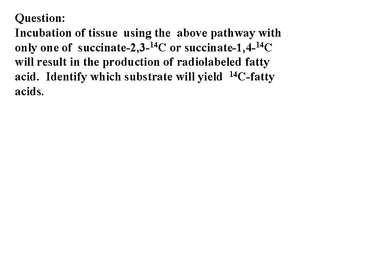Question: Incubation of tissue using the above pathway with only one of succinate-2, 3