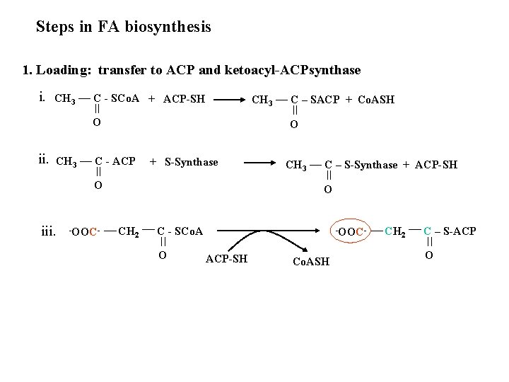 Steps in FA biosynthesis 1. Loading: transfer to ACP and ketoacyl-ACPsynthase i. CH 3
