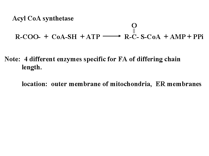 Acyl Co. A synthetase R-COO- + Co. A-SH + ATP O R-C- S-Co. A