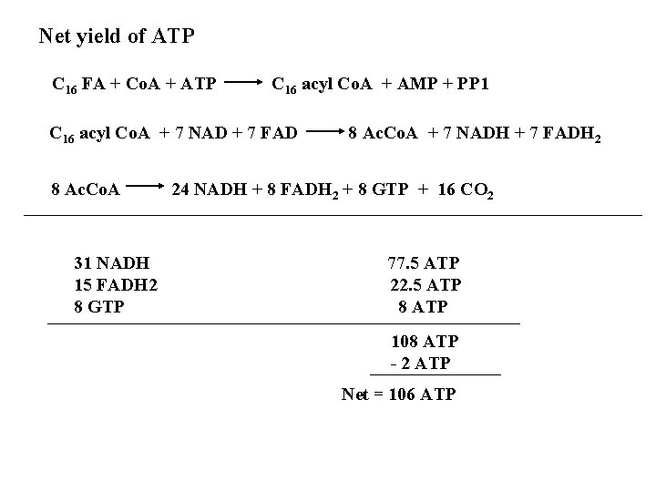 Net yield of ATP C 16 FA + Co. A + ATP C 16