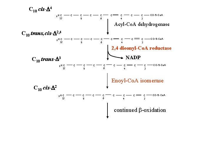 C 10 cis-D 4 3 H C C C 8 12 C C 6