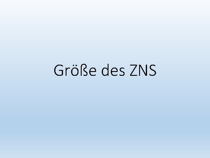 Größe des ZNS 